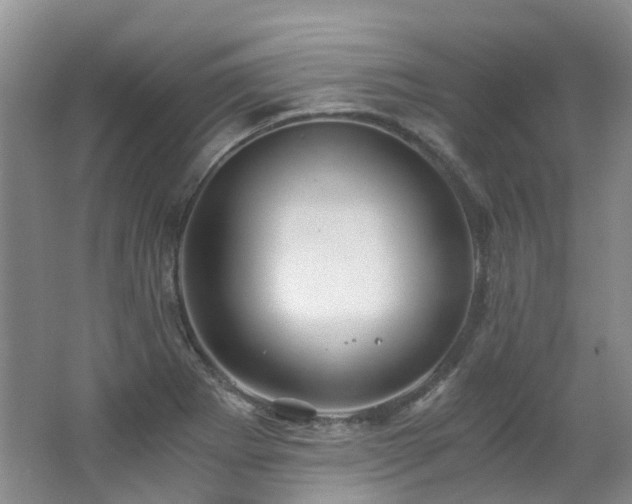 X0000062651273200512211221