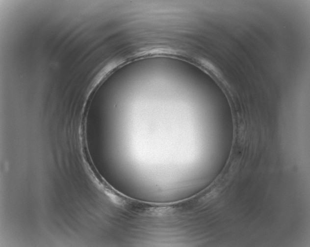 X0000062651282200512211221