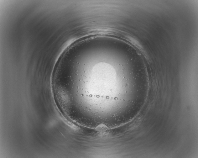 X0000062651283200512211221