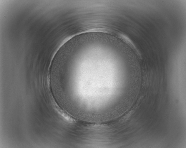 X0000062651284200512211221