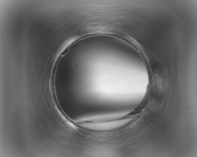 X0000062651293200512211221