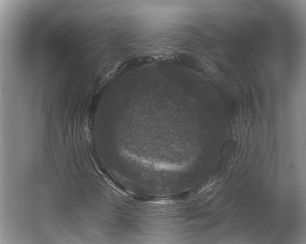 X0000062651298200512211220