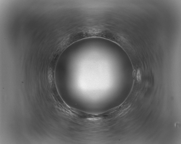 X0000062651299200512211220