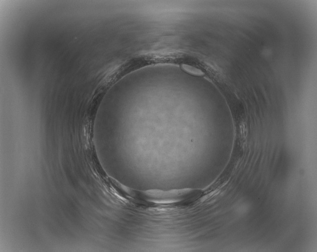 X0000062651300200512211220