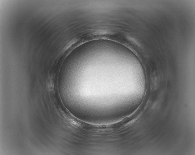 X0000062651305200512211220