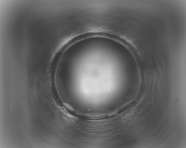 X0000062651311200512211220