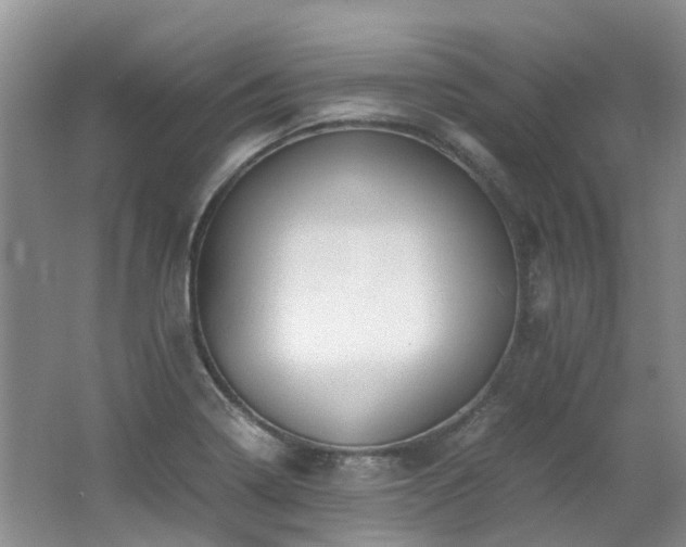 X0000062651322200512211221