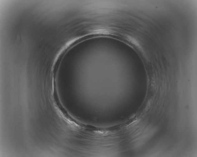 X0000062651323200512211221