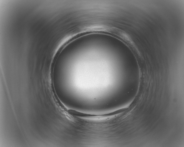 X0000062651328200512211221