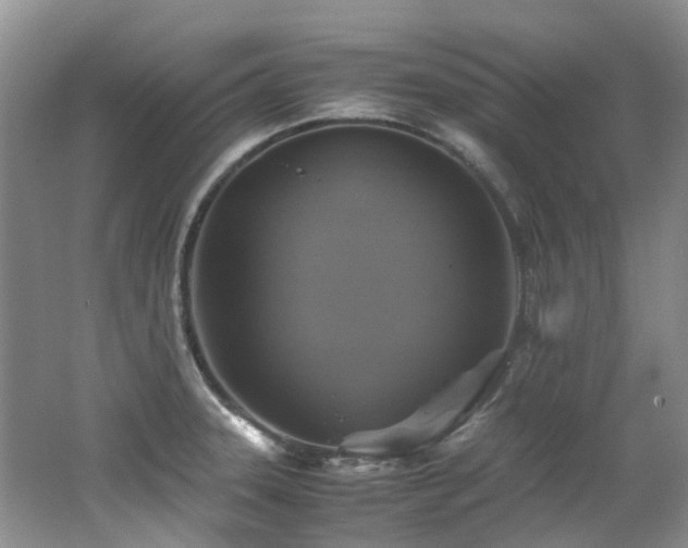 X0000062651331200512211221