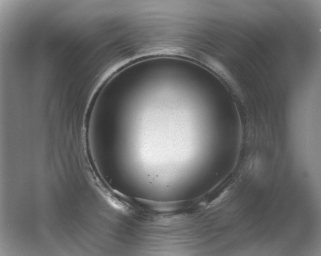 X0000062651332200512211221