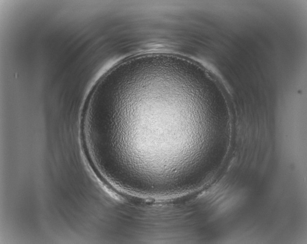 X0000062651333200512211221