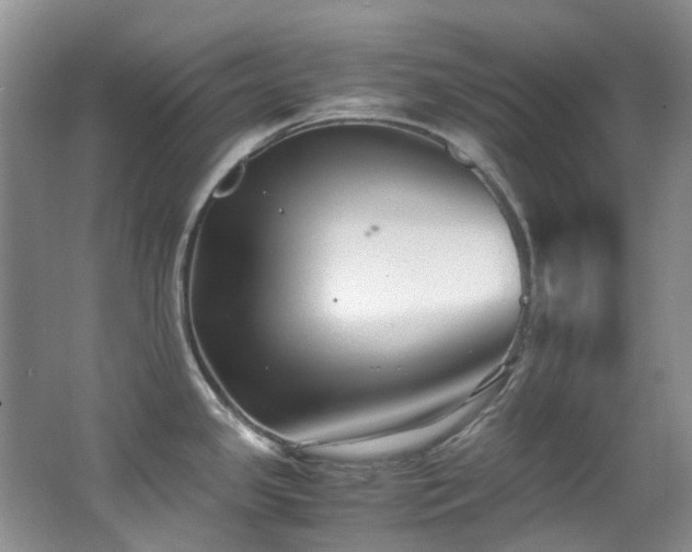 X0000062651341200512211221