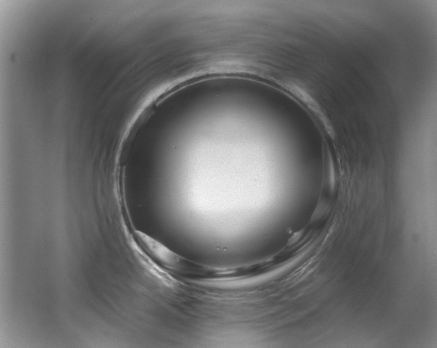 X0000062651342200512211221