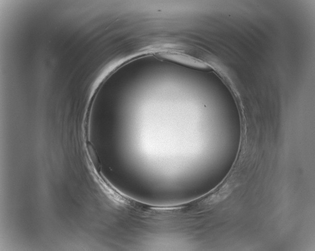 X0000062651344200512211221