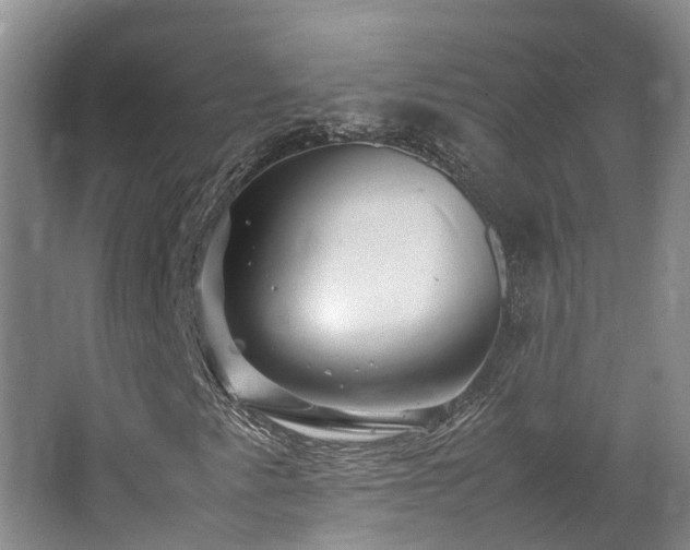 X0000062651345200512211220