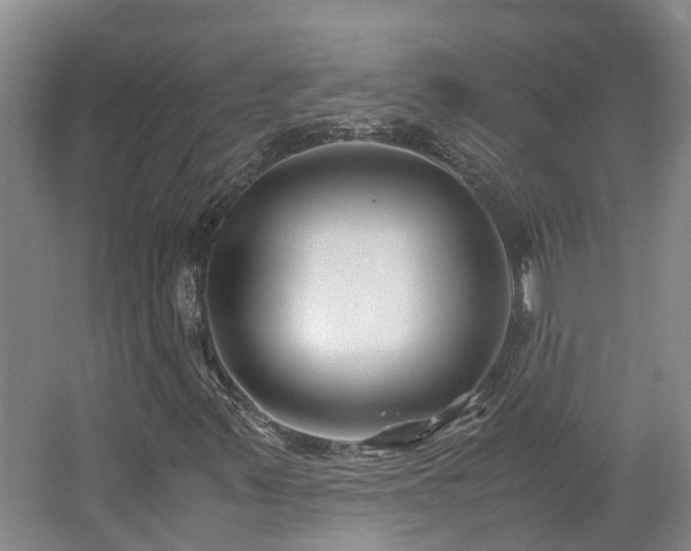 X0000062651347200512211220