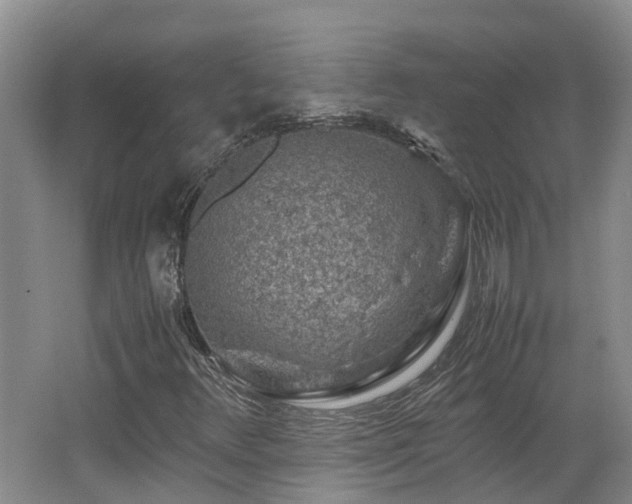 X0000062651348200512211220