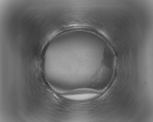 X0000062651357200512211220