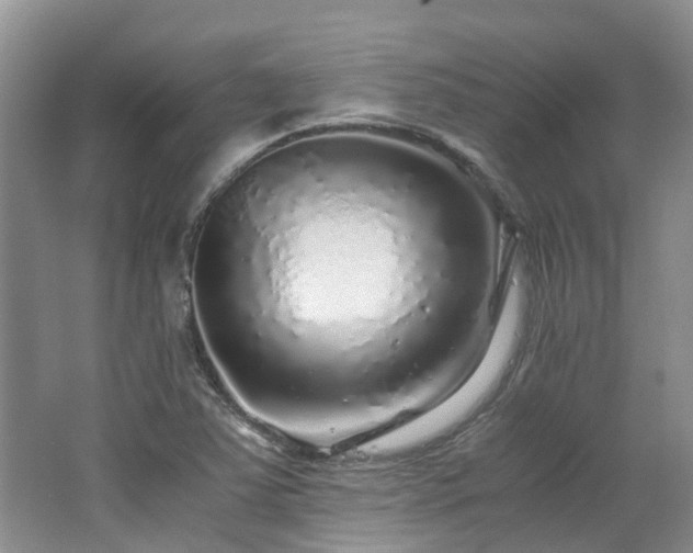 X0000062651363200512211220