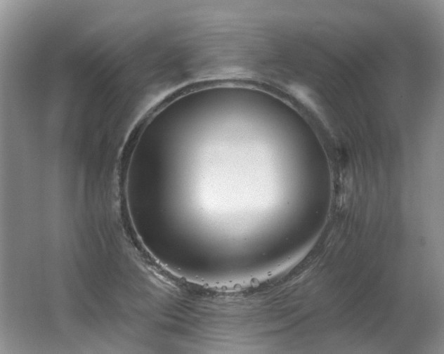 X0000062651364200512211220