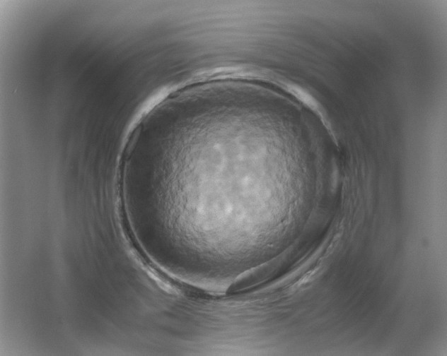 X0000062651373200512211220