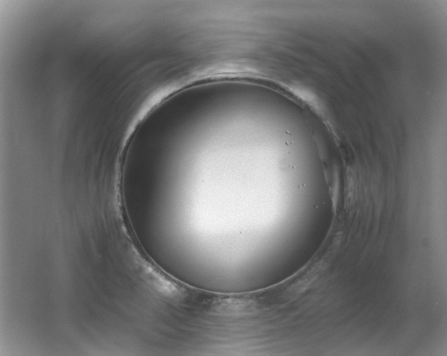 X0000062651374200512211220