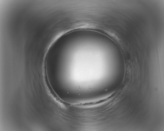 X0000062651375200512211220