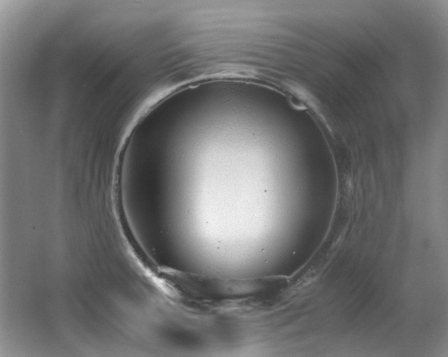 X0000062651379200512211220