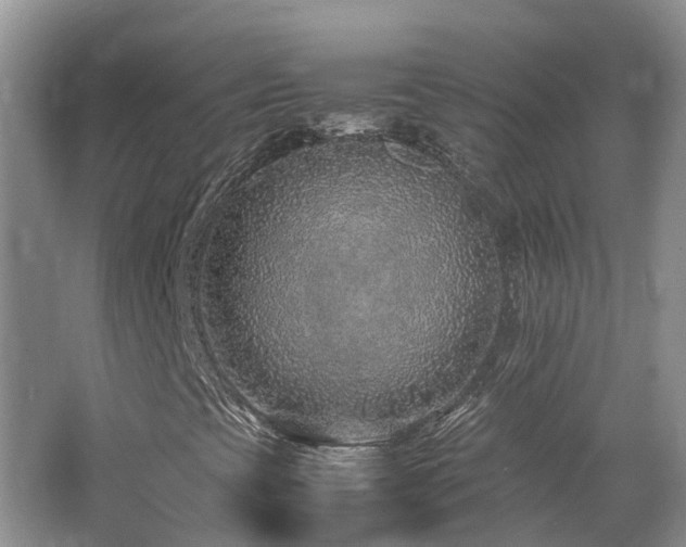 X0000062651393200512211218
