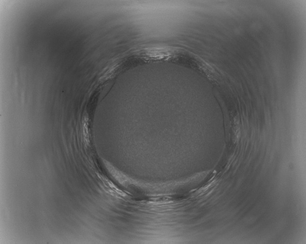 X0000062651394200512211218