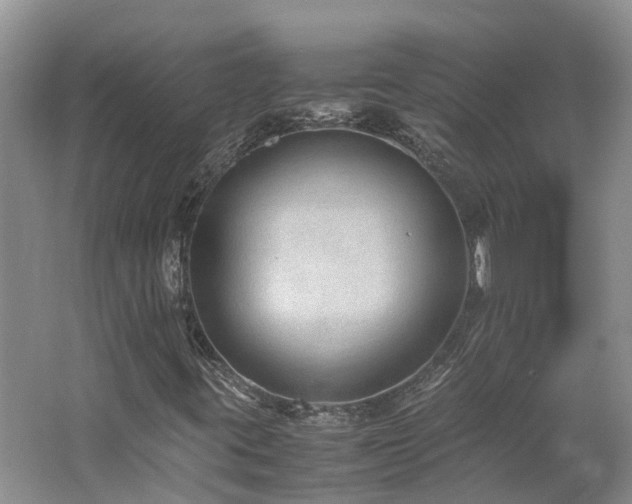 X0000062651395200512211218