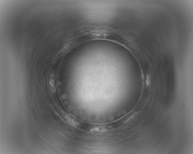 X0000062651396200512211219