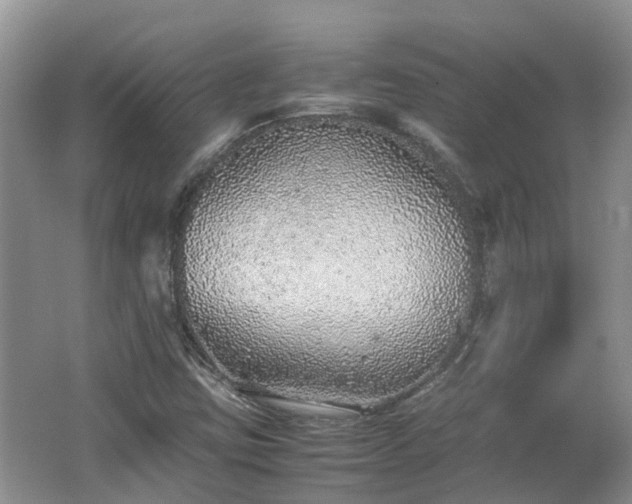 X0000062651403200512211219