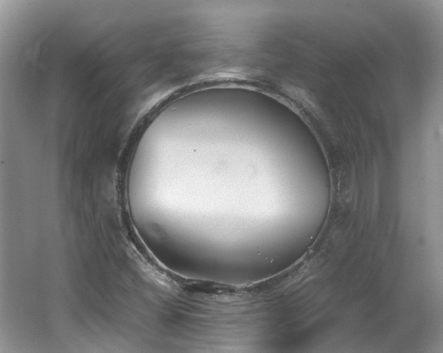 X0000062651404200512211219