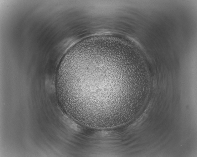 X0000062651409200512211219