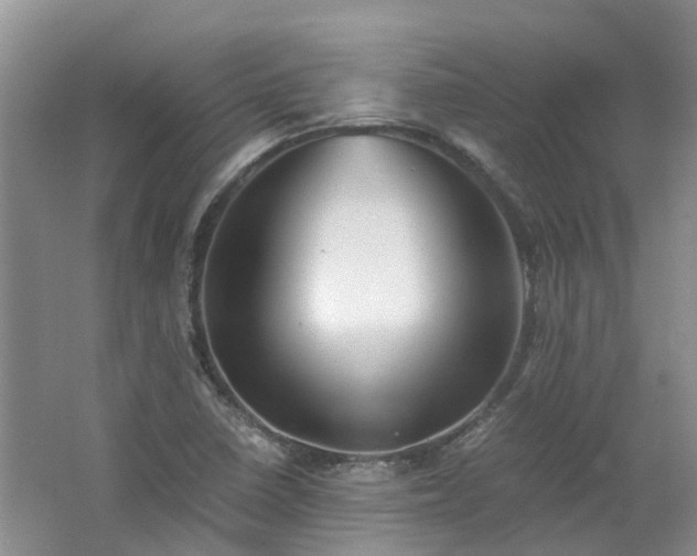 X0000062651410200512211219