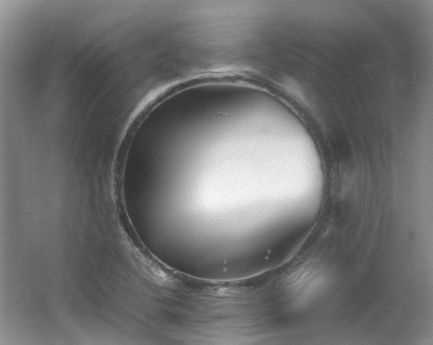 X0000062651412200512211219