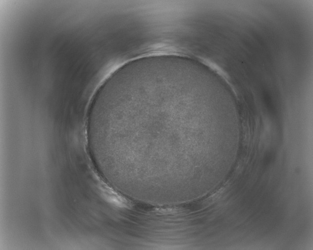 X0000062651415200512211219