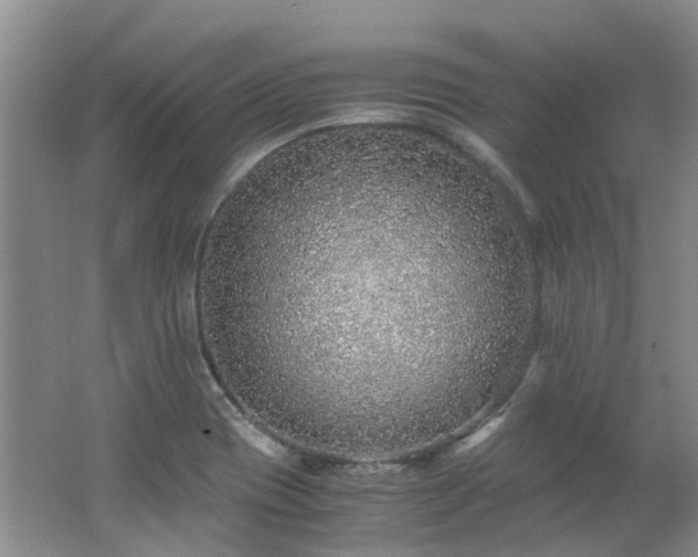 X0000062651417200512211219
