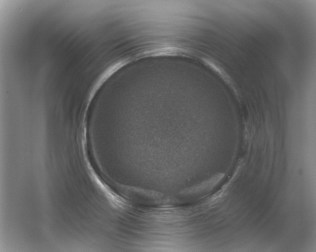 X0000062651418200512211219