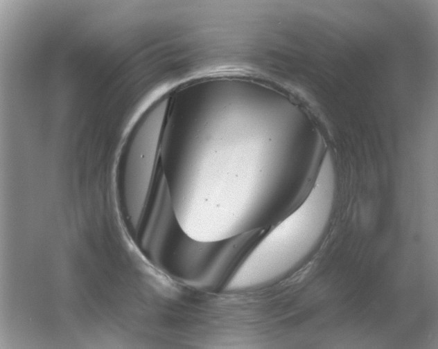 X0000062651422200512211219