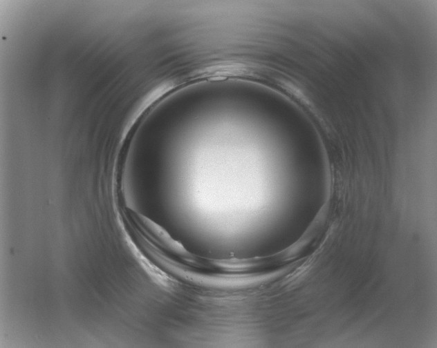 X0000062651426200512211219
