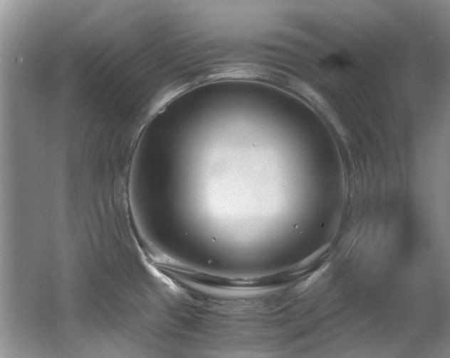 X0000062651433200512211219