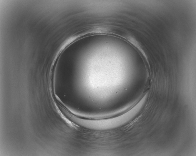 X0000062651437200512211219