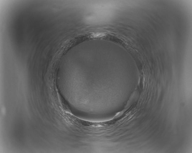 X0000062651441200512211218