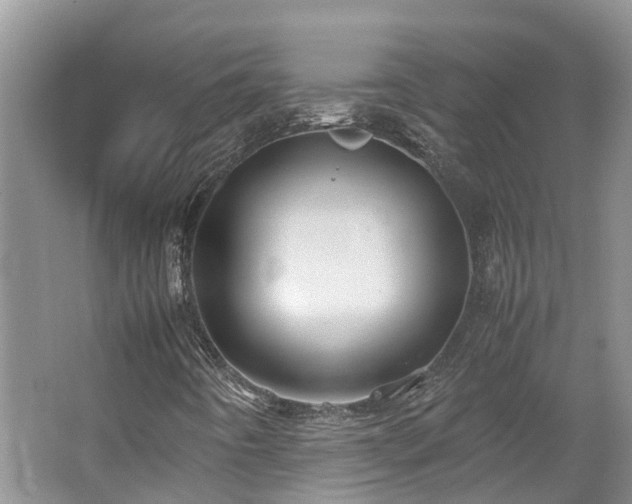 X0000062651442200512211218