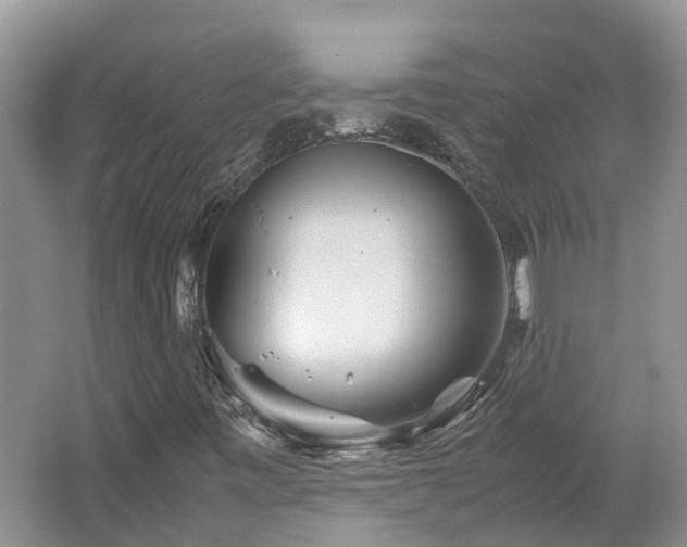 X0000062651443200512211218