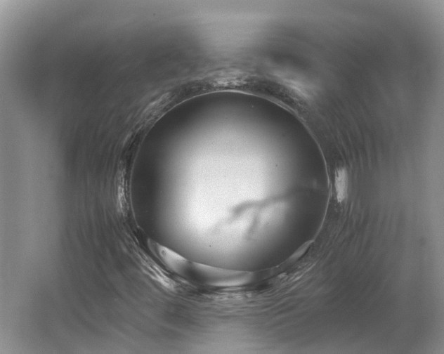 X0000062651444200512211218