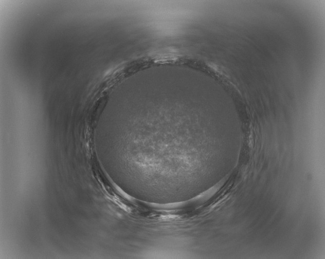 X0000062651445200512211218